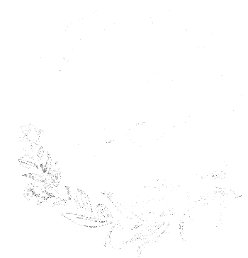 loader image